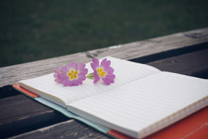 Open notebook with two purple flowers resting on its pages, placed on a wooden bench outdoors.