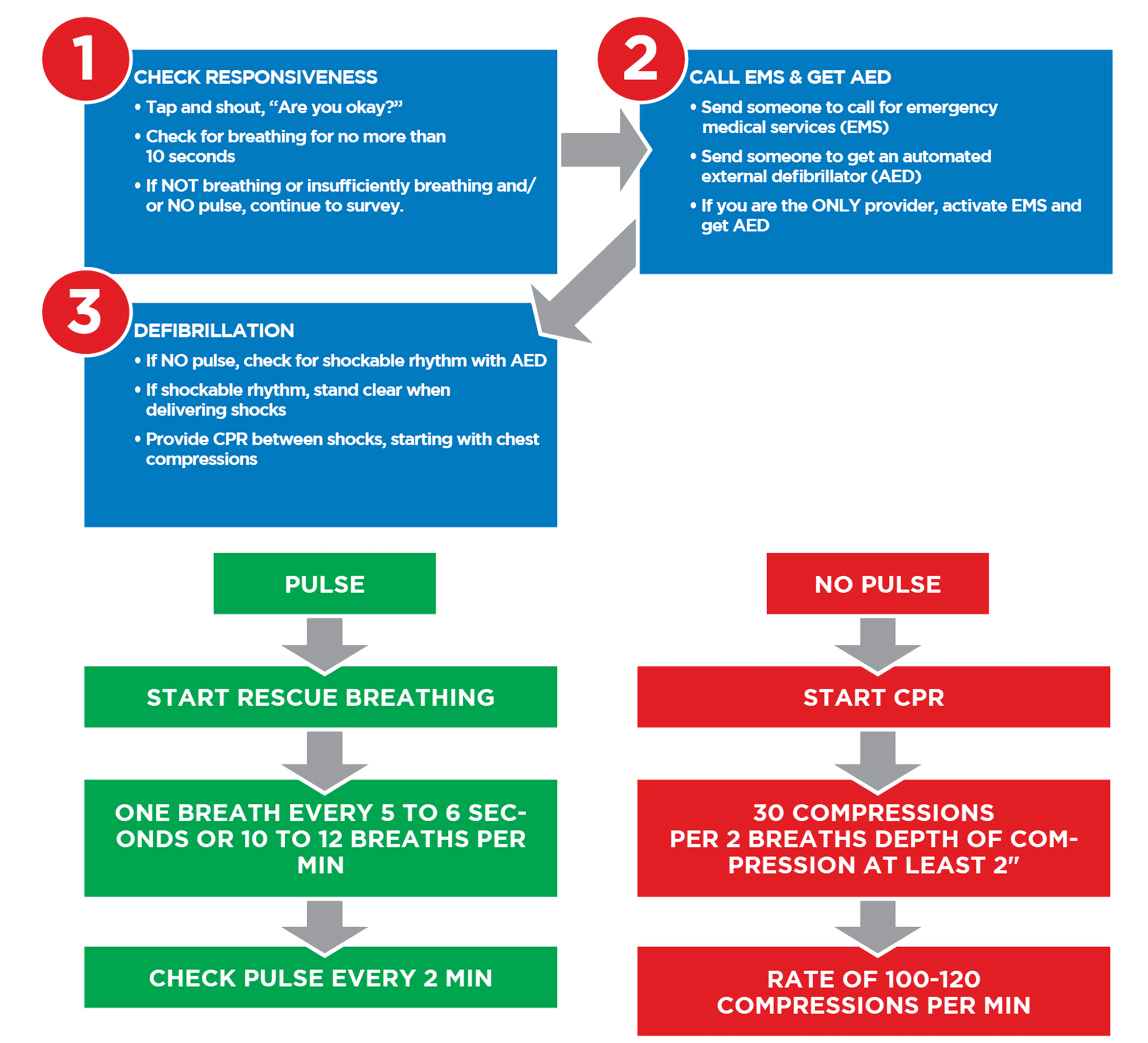 BLS Survey for Adults updated BLS Survey for Adults