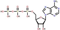 chemical structure of adenosine
